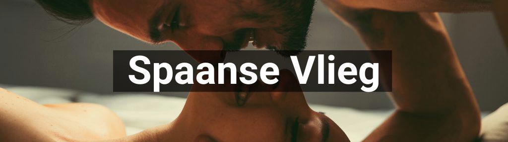 Spaanse Vlieg bij Smartific