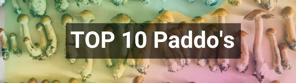 Top 10 beste paddo's
