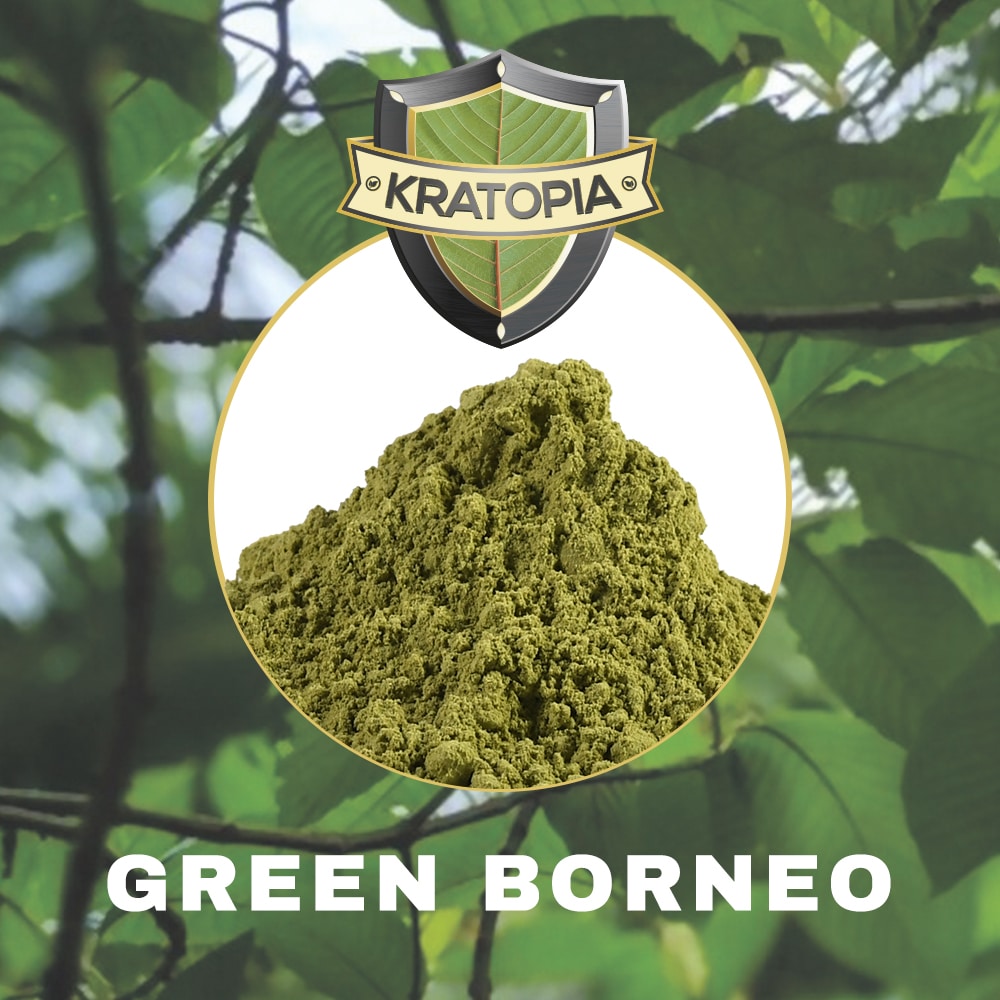 Green Borneo contents Kratopia Green Borneo contents Kratopia