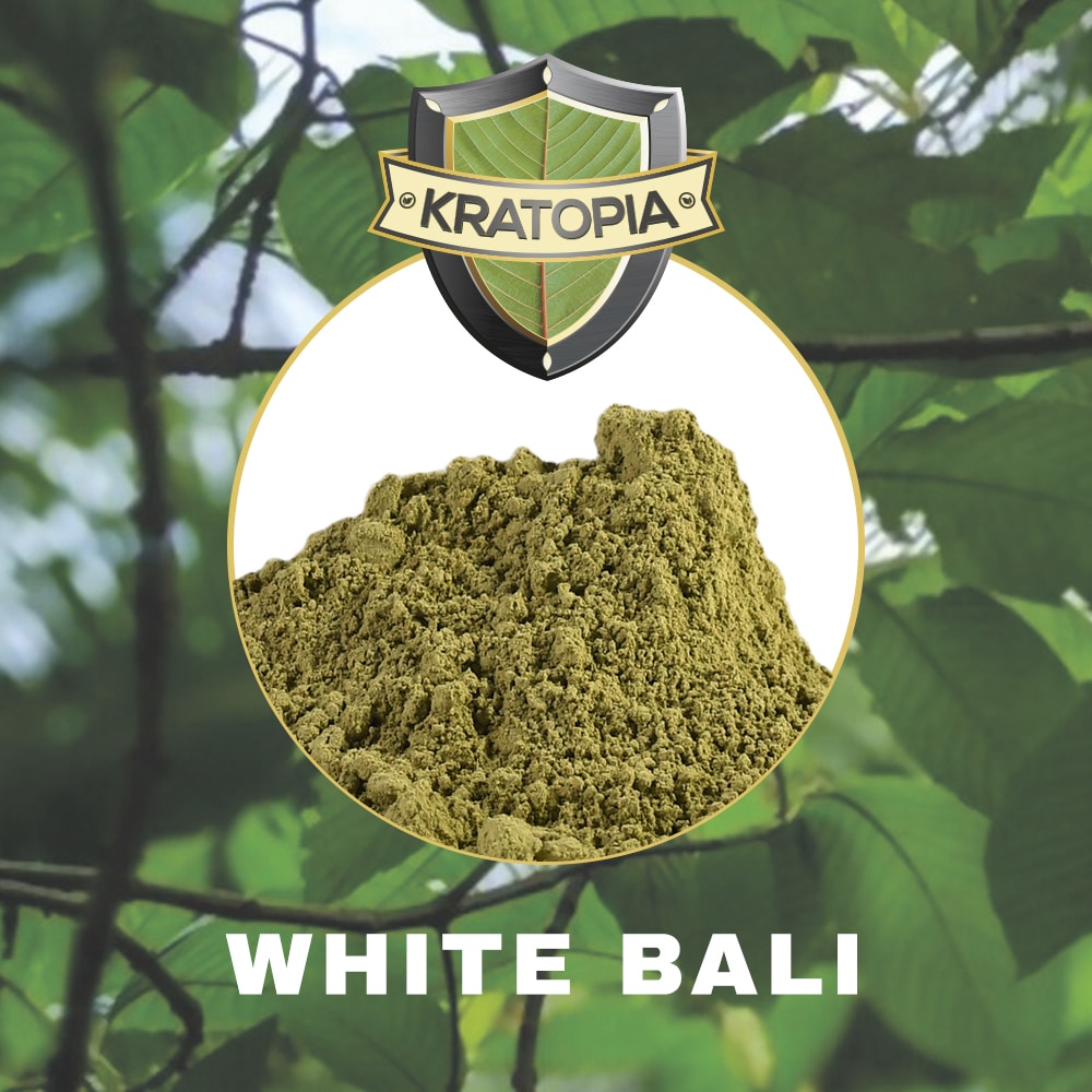 White Bali Kratom contents Kratopia White Bali Kratom contents Kratopia
