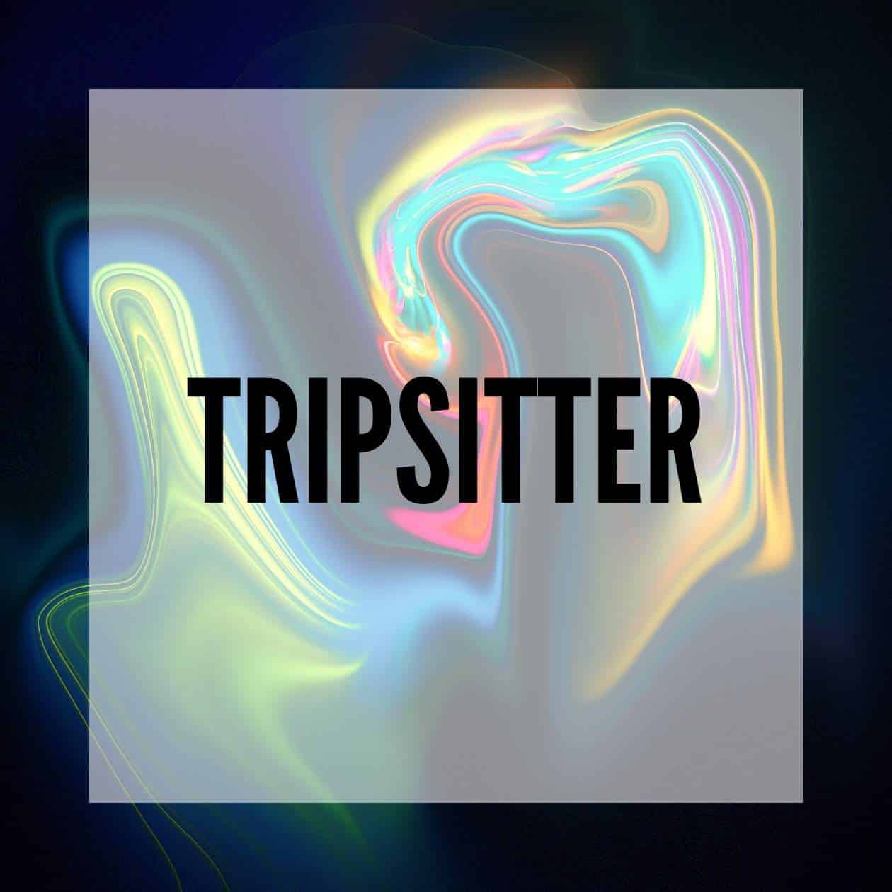 De voordelen van een tripsitter