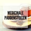 Medicinale paddenstoelen