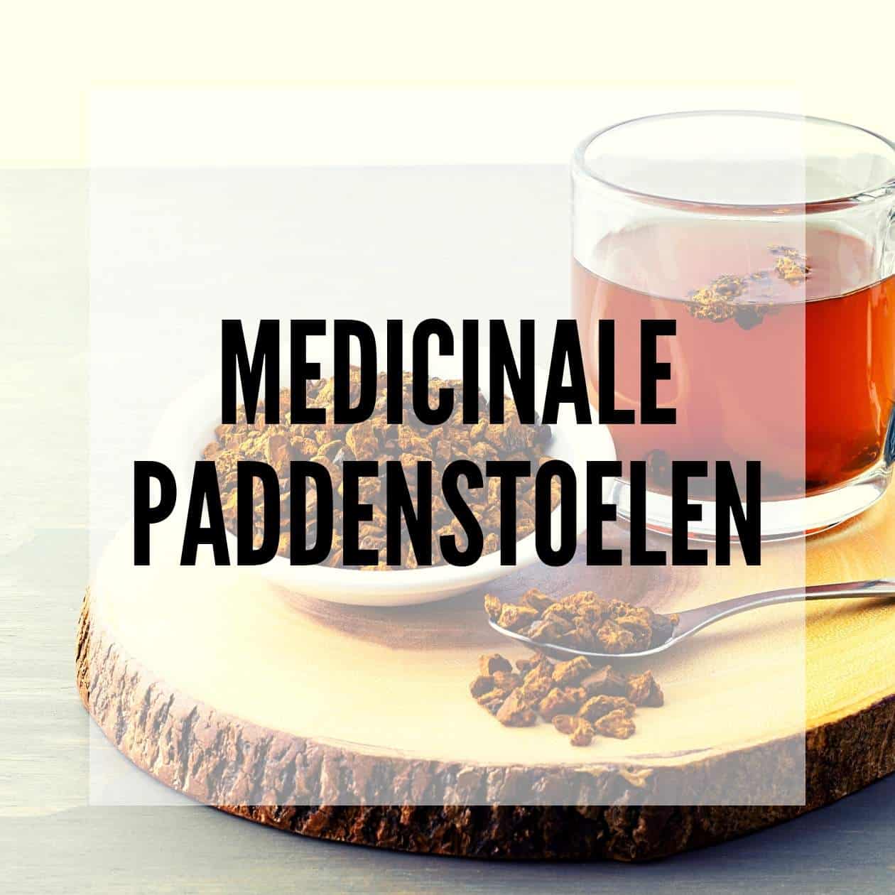 Medicinale paddenstoelen