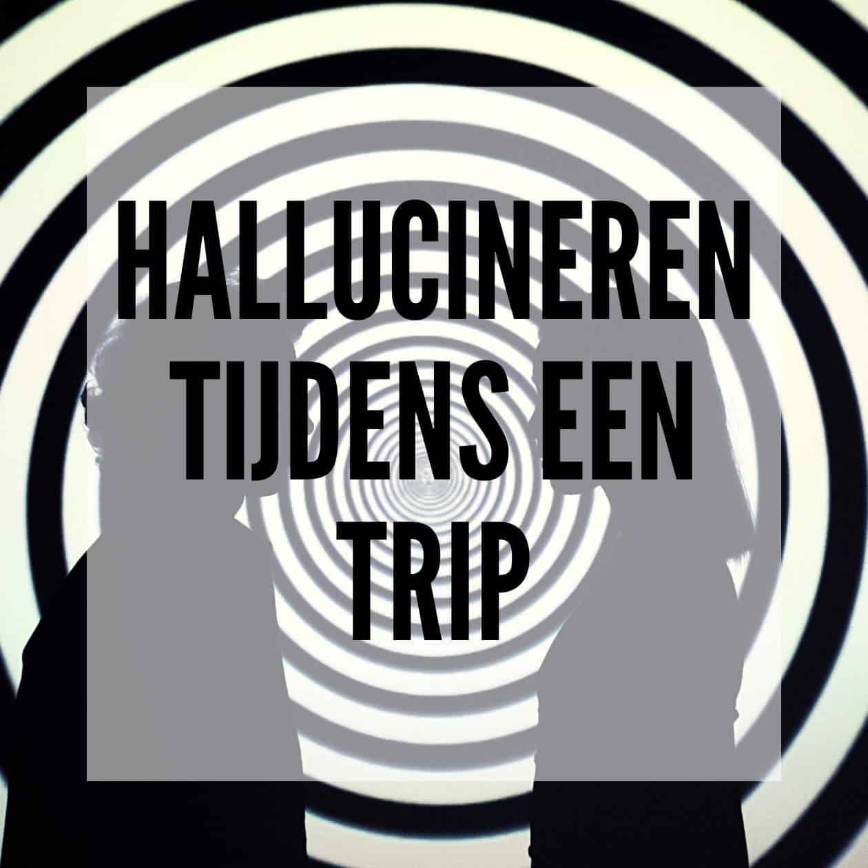 Hallucineren tijdens een trip