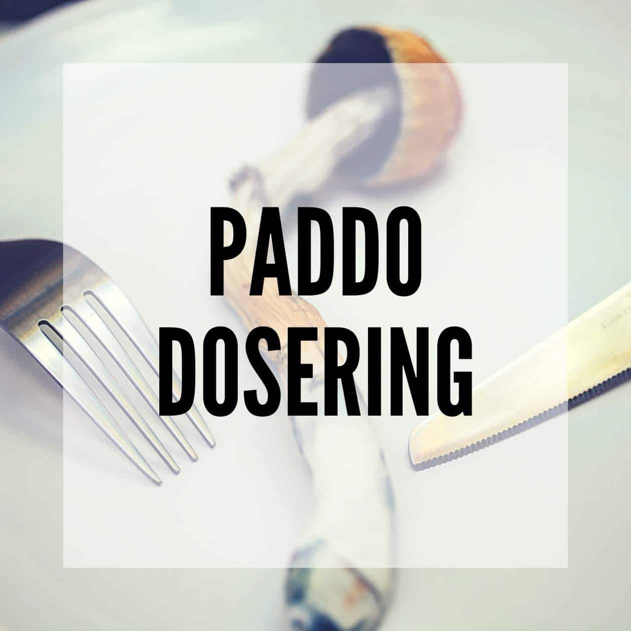 De perfecte Paddo dosering