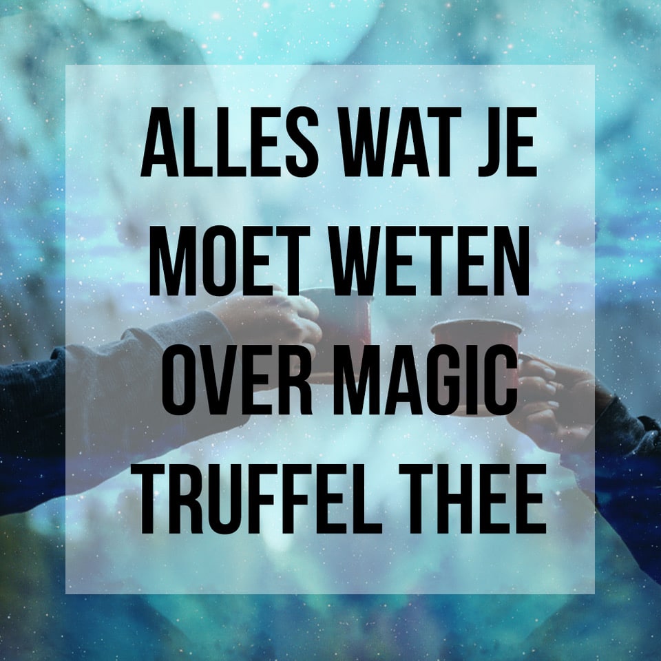 Magic Truffel Thee Alles wat je moet weten