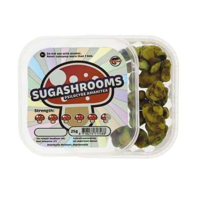 Sugashrooms magic truffels kopen bij smartific open doosje