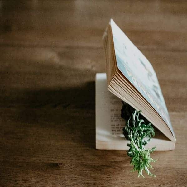 Ethnobotanie: de studie van planten en hun traditionele gebruik in verschillende culturen