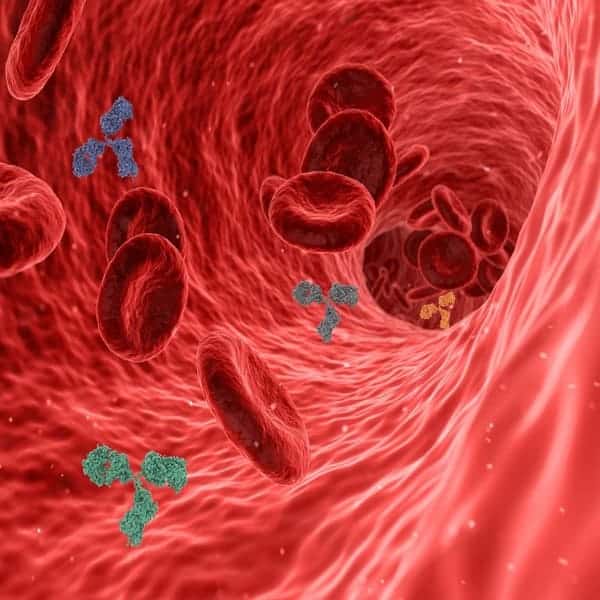 Psycho Neuro Immunologie: De invloed van psychedelica op het immuunsysteem