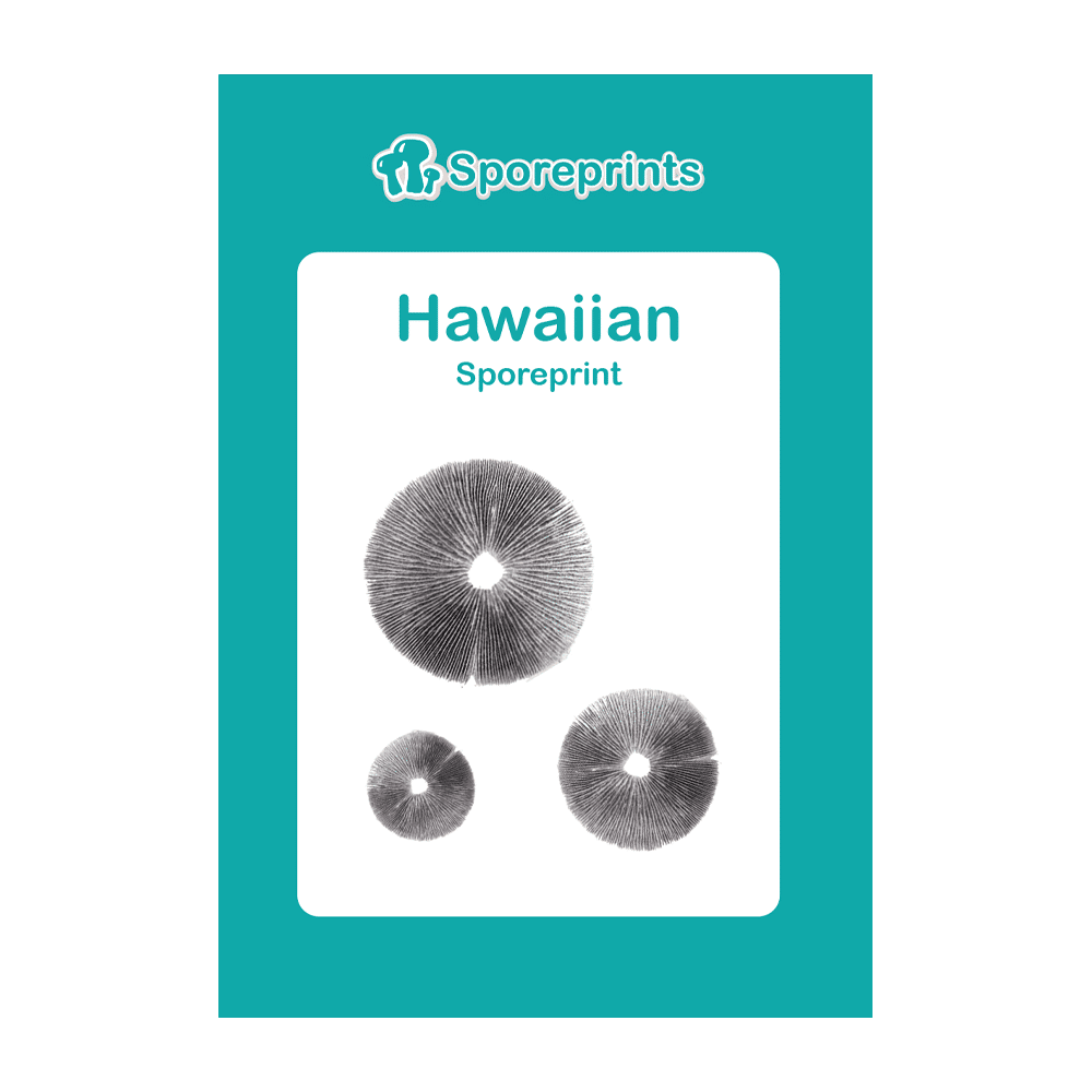 Hawaiian Sporeprint 2 Hawaiian Sporeprint 2