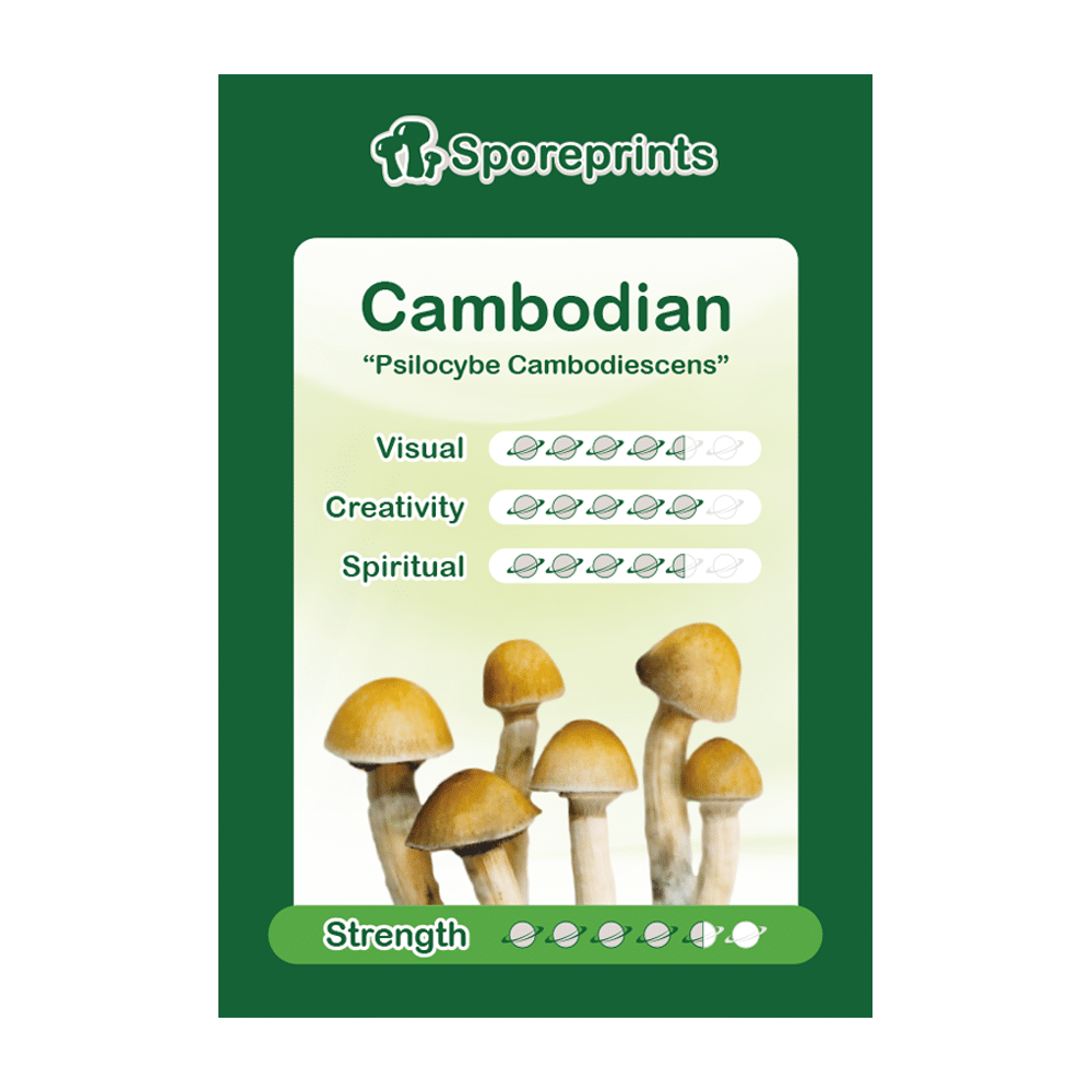 Cambodian Sporeprint 1 Cambodian Sporeprint 1