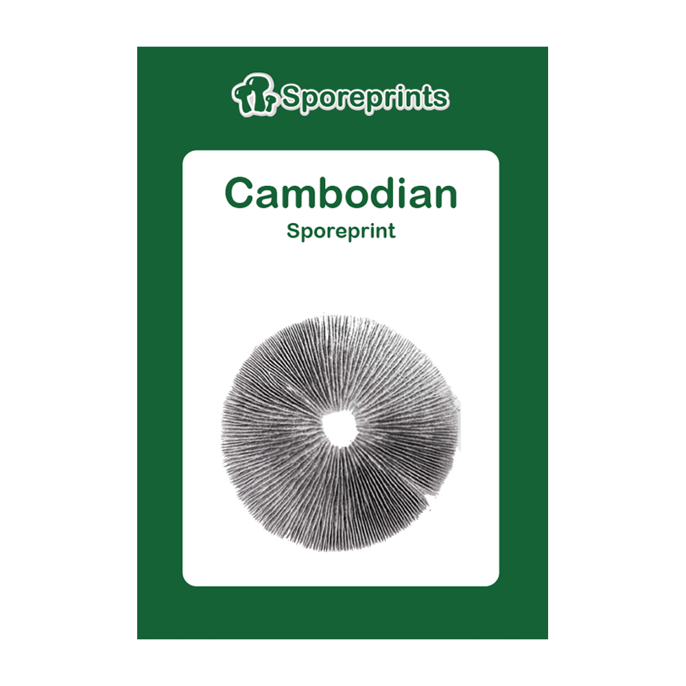 Cambodian Sporeprint 2 Cambodian Sporeprint 2