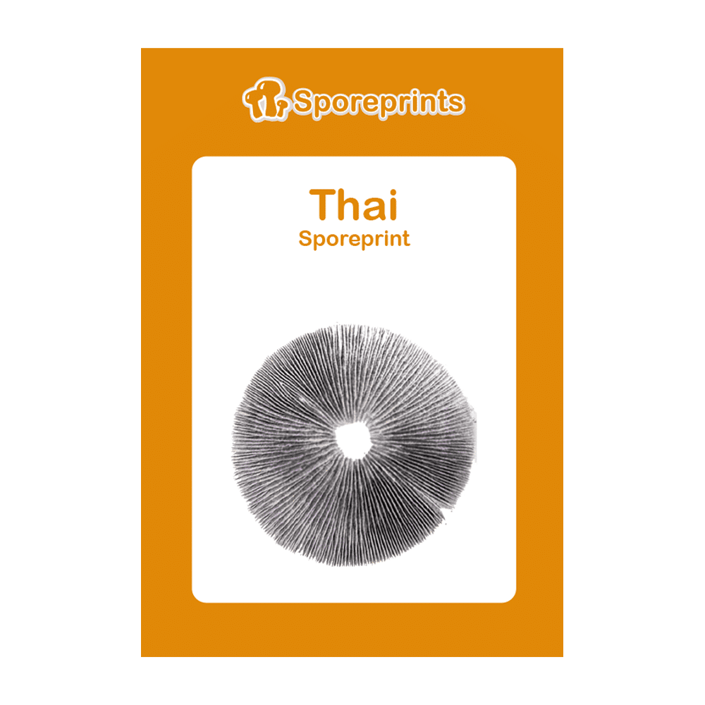 Thai Sporeprint 2 Thai Sporeprint 2