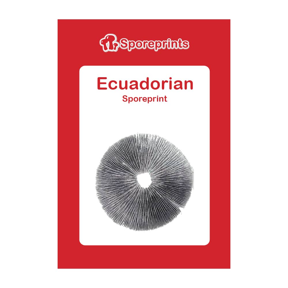 Ecuadorian Sporeprint 2 Ecuadorian Sporeprint 2