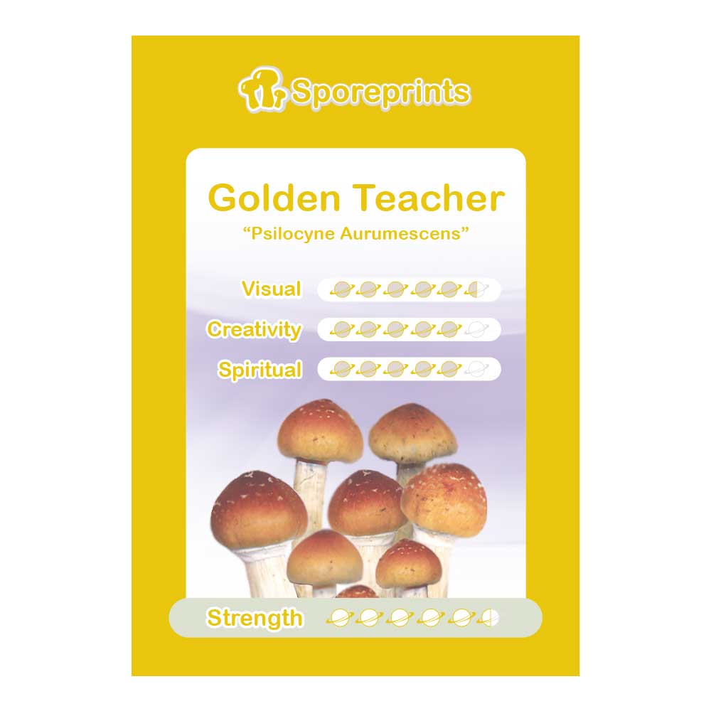 Golden Teacher Sporeprint 1 Golden Teacher Sporeprint 1