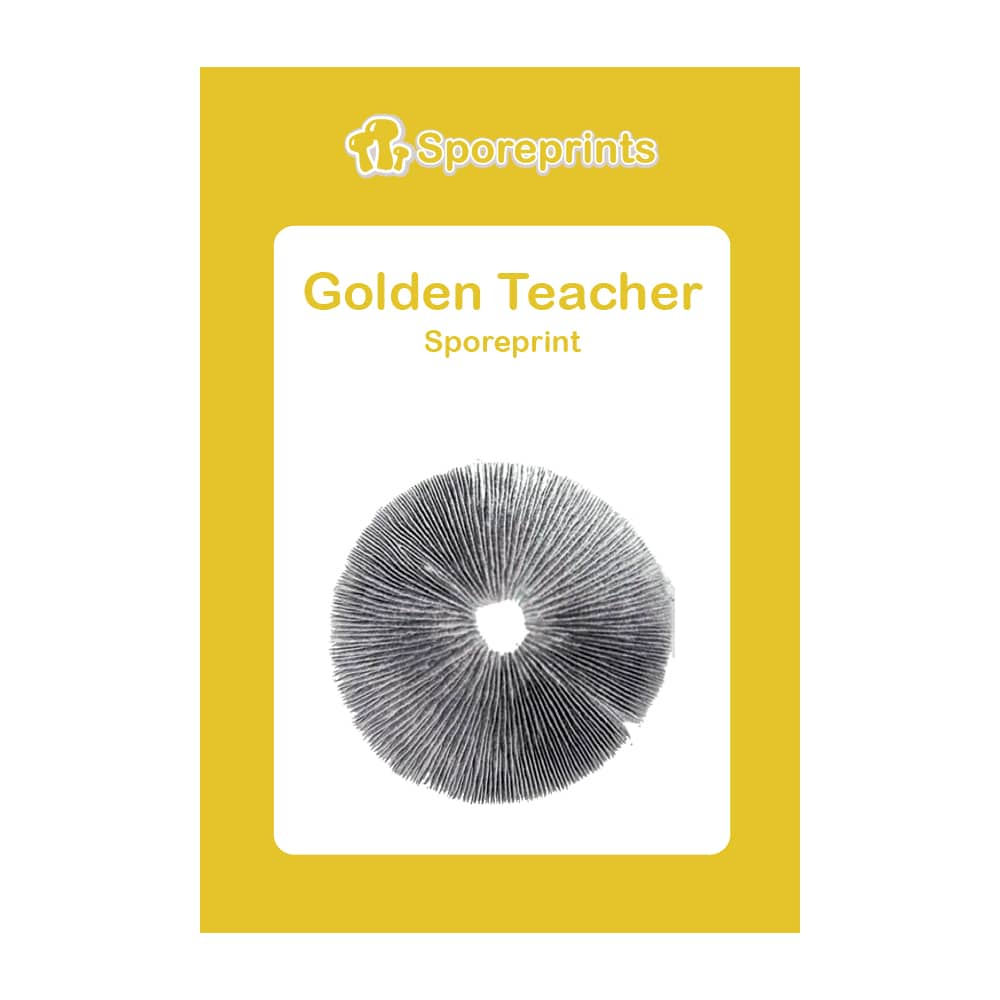 Golden Teacher Sporeprint 2 Golden Teacher Sporeprint 2