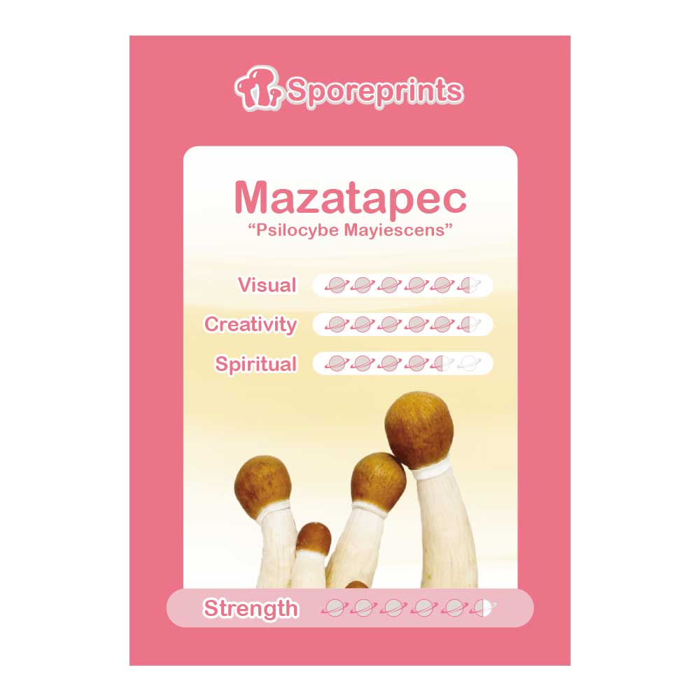 Mazatapec Sporeprint 1 Mazatapec Sporeprint 1