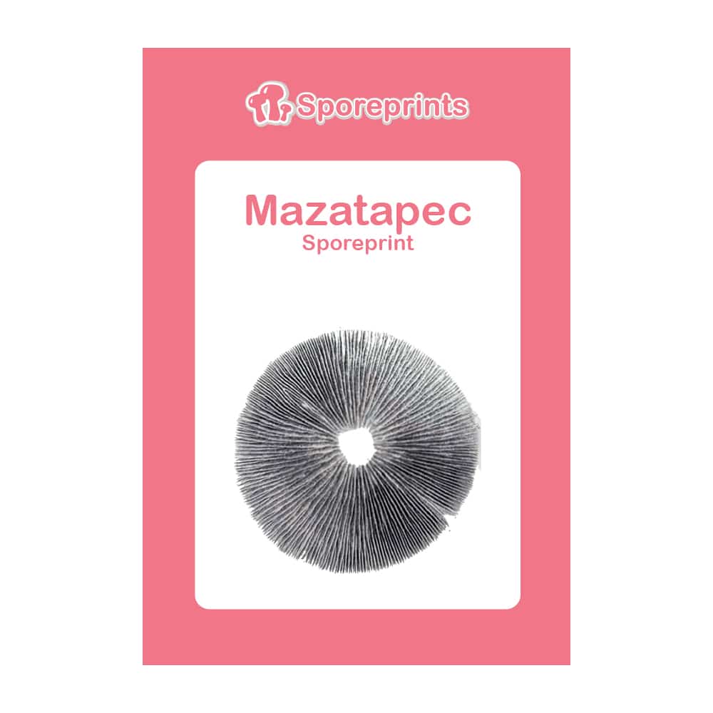 Mazatapec Sporeprint 2 Mazatapec Sporeprint 2