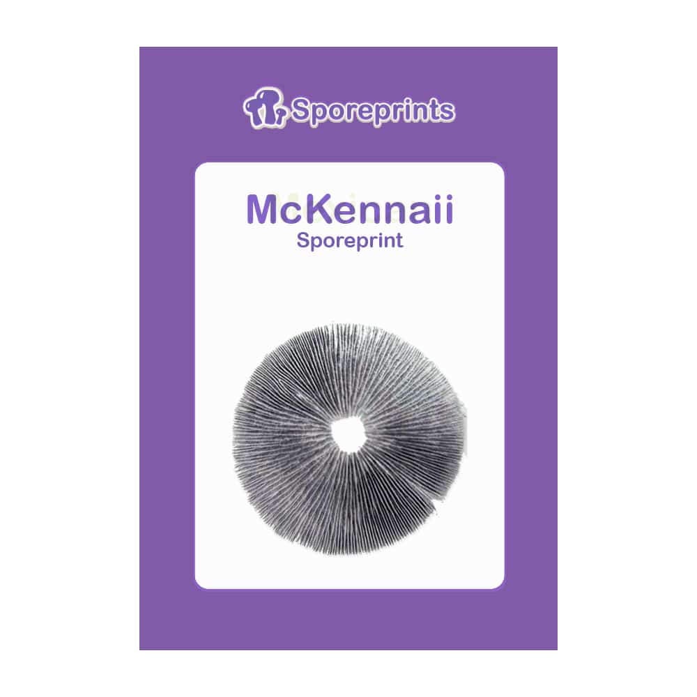 McKennaii Sporeprint 2 McKennaii Sporeprint 2