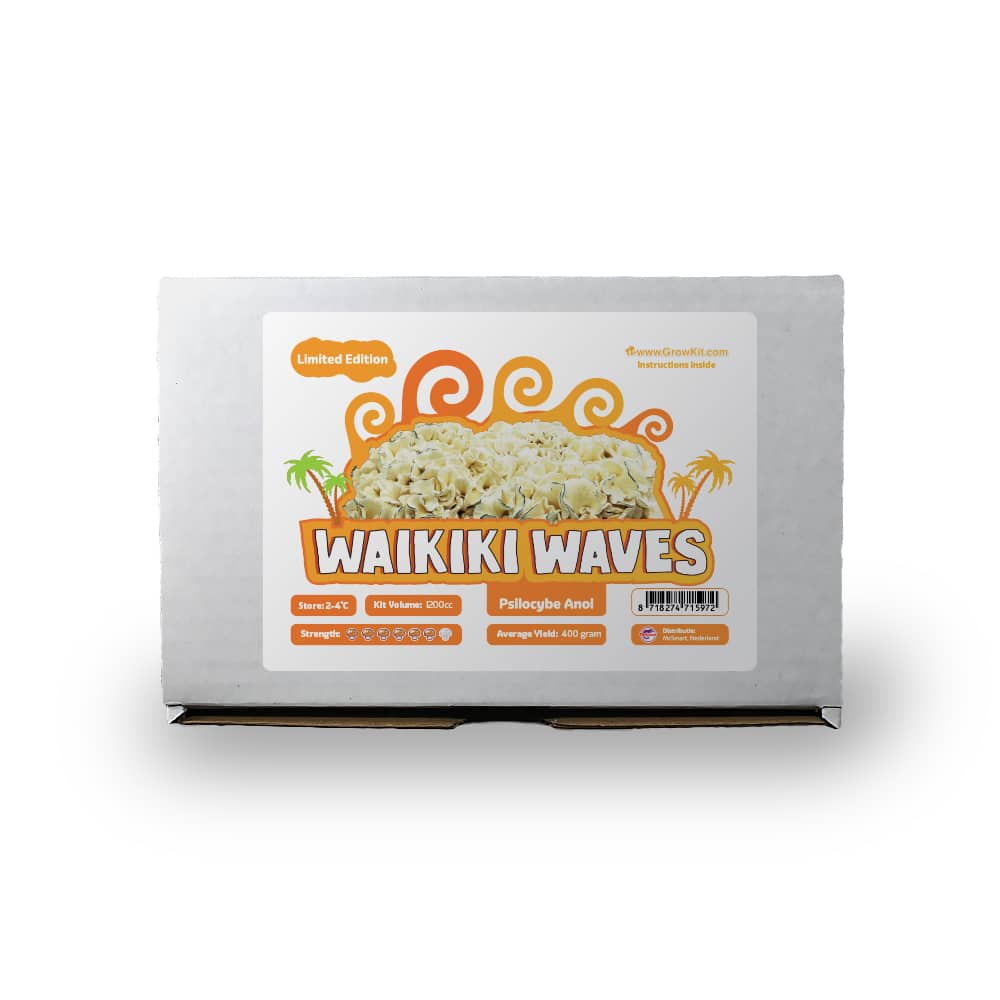 Waikiki Doos Waikiki Waves Front View Doos