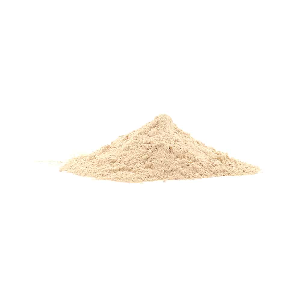 Lion’s Mane 200 gram poeder Lion's Mane 200 gram poeder