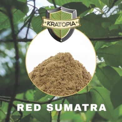 Red Sumatra Contents