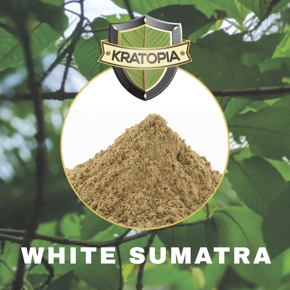 White Sumatra Contents White Sumatra Contents